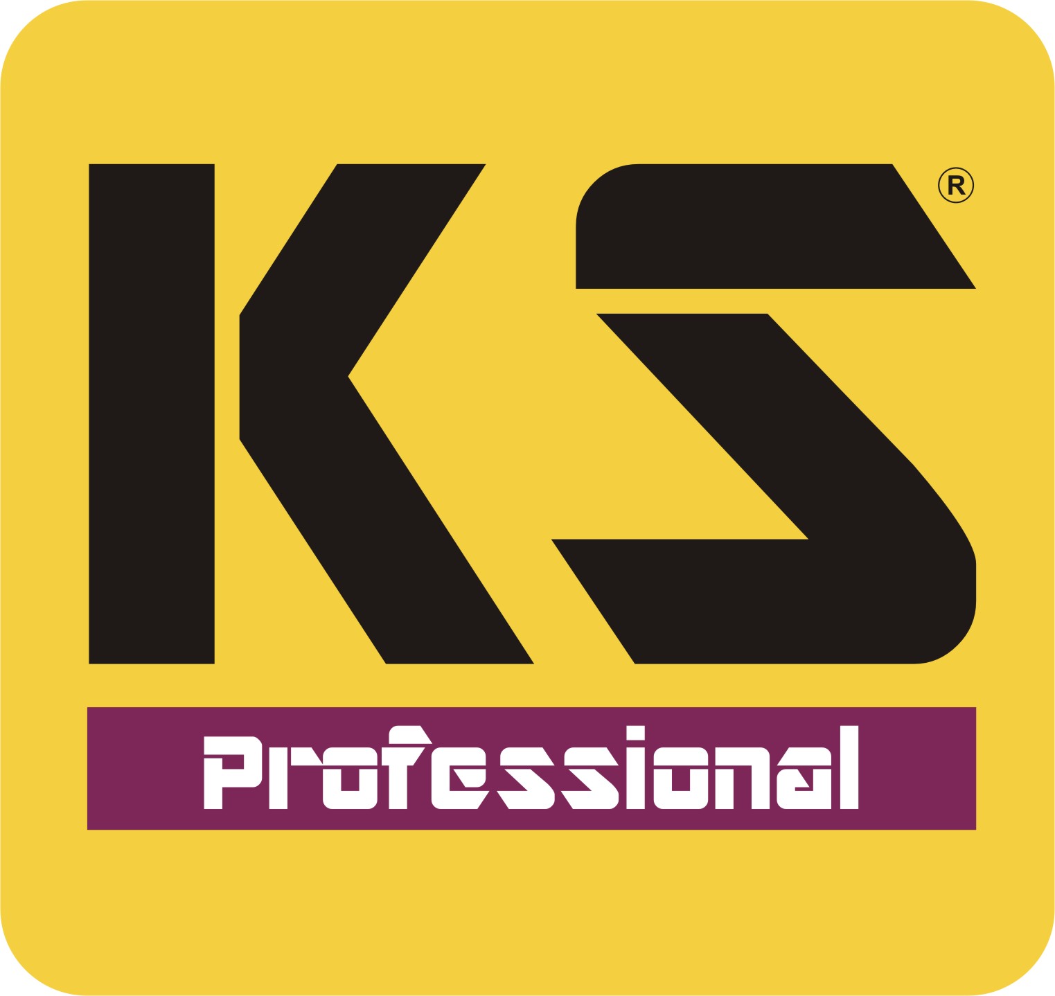 KS Professional